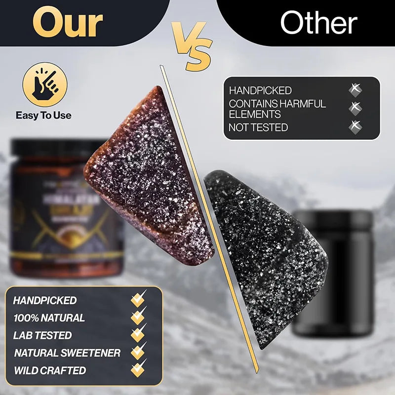 30 Shilajit Gummies + Honey