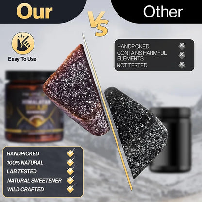 30 Shilajit Gummies + Honey